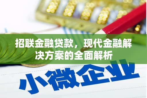 西贡招联金融贷款，现代金融解决方案的全面解析