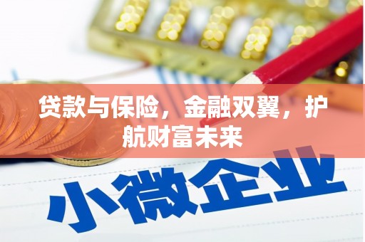 西贡贷款与保险，金融双翼，护航财富未来