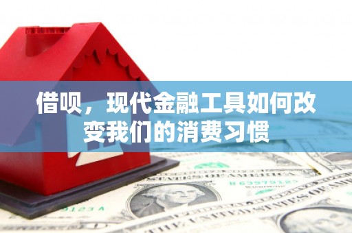 西贡借呗，现代金融工具如何改变我们的消费习惯
