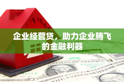 西贡企业经营贷，助力企业腾飞的金融利器