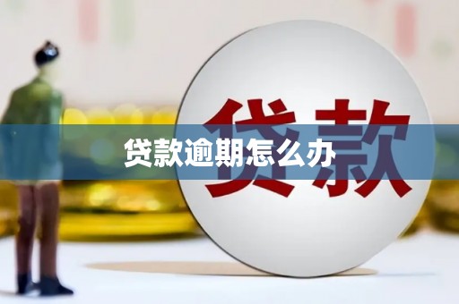 西贡贷款逾期怎么办