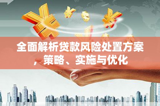 西贡全面解析贷款风险处置方案，策略、实施与优化