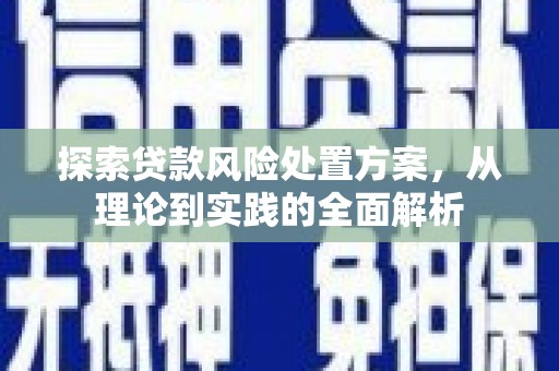 西贡探索贷款风险处置方案，从理论到实践的全面解析