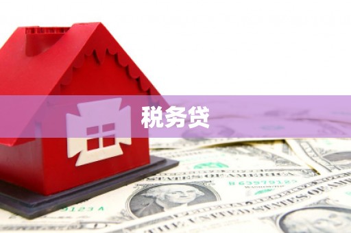西贡税务贷