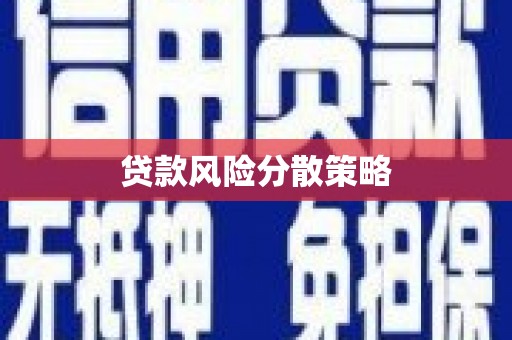 西贡贷款风险分散策略