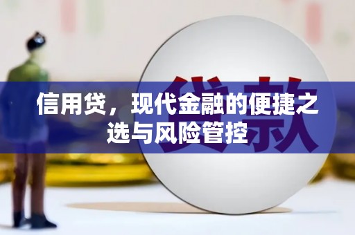 西贡信用贷，现代金融的便捷之选与风险管控
