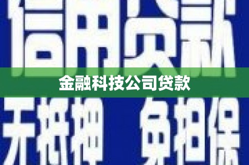西贡金融科技公司贷款