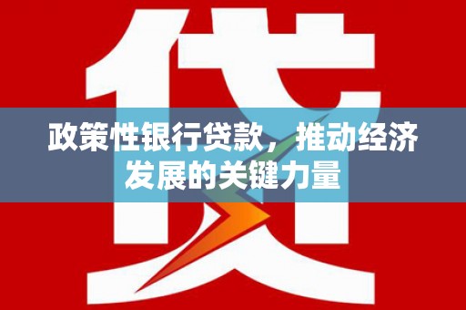 西贡政策性银行贷款，推动经济发展的关键力量
