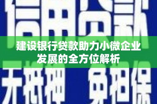 西贡建设银行贷款助力小微企业发展的全方位解析