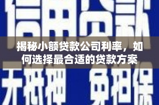 西贡揭秘小额贷款公司利率，如何选择最合适的贷款方案