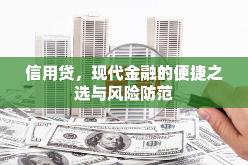 西贡信用贷，现代金融的便捷之选与风险防范