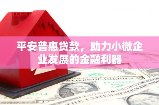 西贡平安普惠贷款，助力小微企业发展的金融利器