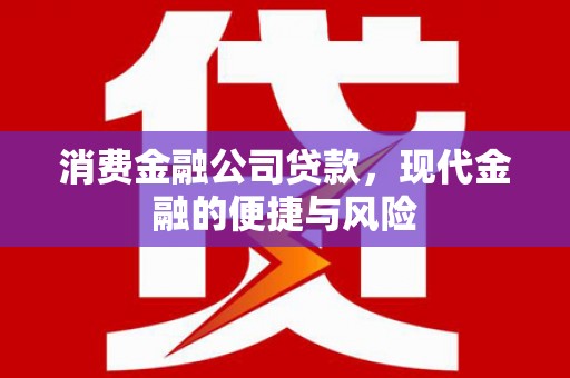 西贡消费金融公司贷款，现代金融的便捷与风险